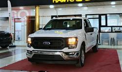 فۆرد F-150